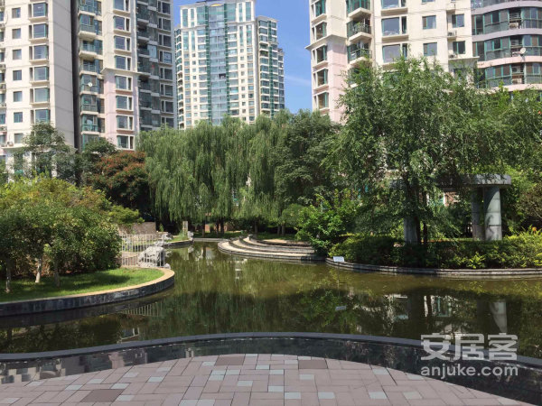 �����f���ǈ@С�^(q��)